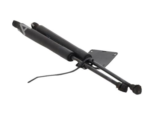 tailgate-lift-support-citroen-ds3-sa_-2009-2010-2011-2012-2013-2014-2015-2016-40499461 main image