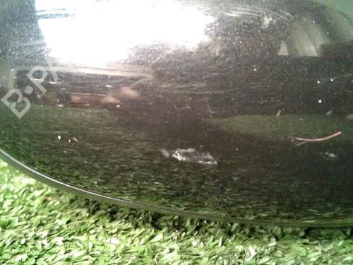 Used Right mirror ALFA ROMEO 147 (937_) 1.9 JTDM 8V (937.AXD1A, 937.AXU1A, 937.BXU1A) (120 hp) 29951900