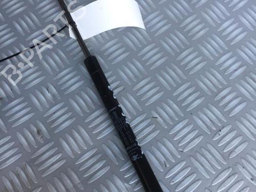 tailgate-lift-support-fiat-punto-evo-199_-2008-30072655 main image