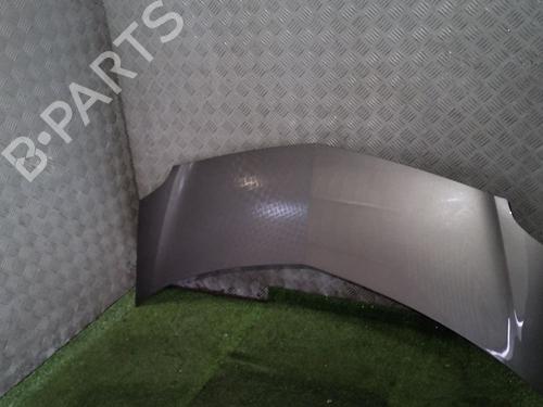 Panser RENAULT MODUS / GRAND MODUS (F/JP0_) 1.5 dCi (FP0G, JP0G) (68 hp) 30068222