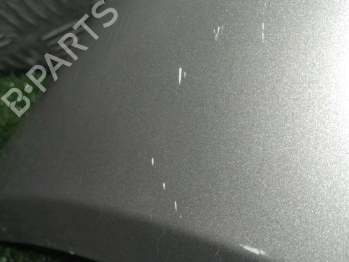 Hood RENAULT SCÉNIC II (JM0/1_) 1.9 dCi (JM14) | BP19417221C1 