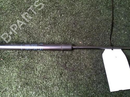 Used Tailgate lift support RENAULT CLIO II (BB_, CB_) 1.5 dCi (B/CB07) (65 hp) 30073313