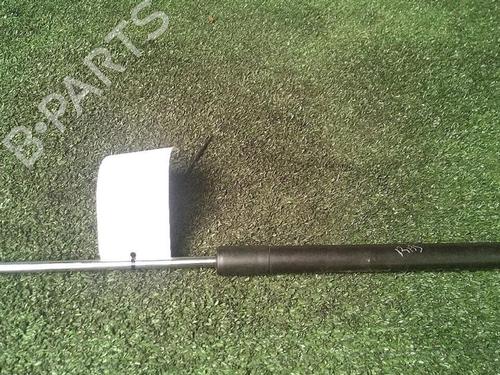 Tailgate lift support RENAULT CLIO III (BR0/1, CR0/1) 1.6 16V (BR05, BR0B, BR0Y, BR15, BR1J, BR1M, BR1Y, CR0B,... | BP29952642C138