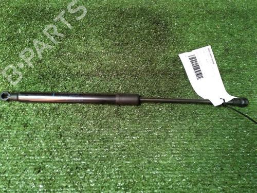 tailgate-lift-support-renault-twingo-ii-cn0_-2007-30073507 main image