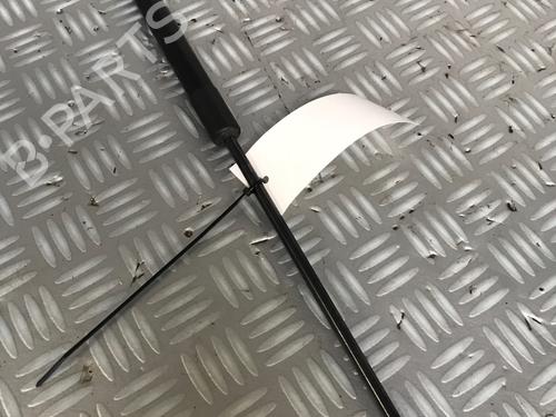 Tailgate lift support FORD FIESTA VI (CB1, CCN) 1.25 | BP21635142C138 