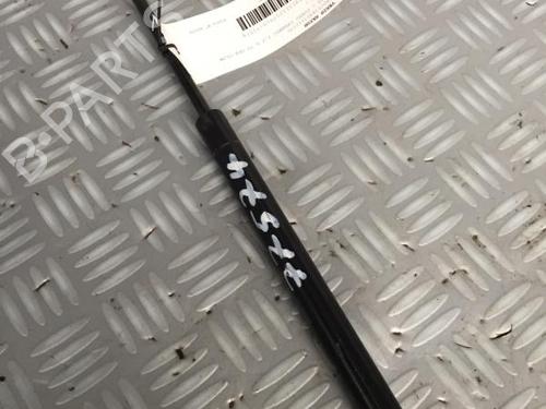 tailgate-lift-support-fiat-punto-evo-199_-2008-30069115 main image