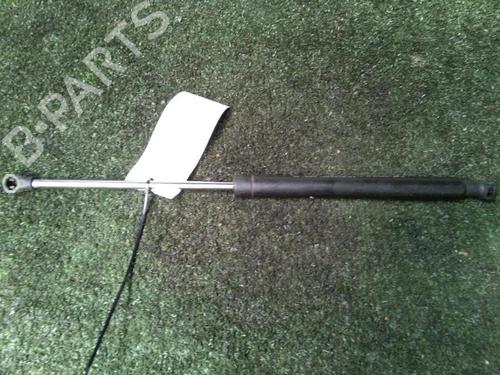 Tailgate lift support RENAULT CLIO II (BB_, CB_) 1.2 16V (BB05, BB0W, BB11, BB27, BB2T, BB2U, BB2V, CB05,... | BP30073306C138