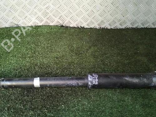 right-rear-shock-absorber-renault-clio-v-b7_-2019-30076372 main image
