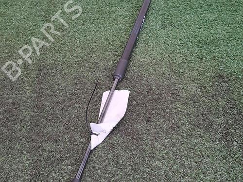 Tailgate lift support RENAULT CLIO V (B7_) 1.6 E-TECH 140 (B7MU) | BP29948616C138 