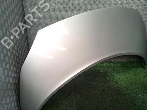 Hood RENAULT SCÉNIC II (JM0/1_) 1.9 dCi (JM14) | BP30077112C1 