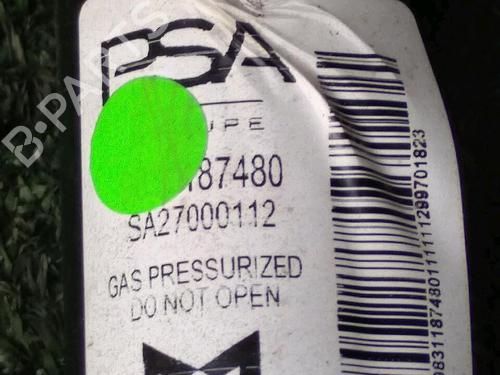 Used Left rear shock absorber PEUGEOT 208 II (UB_, UP_, UW_, UJ_) 1.5 BlueHDI 100 (102 hp) 29947440