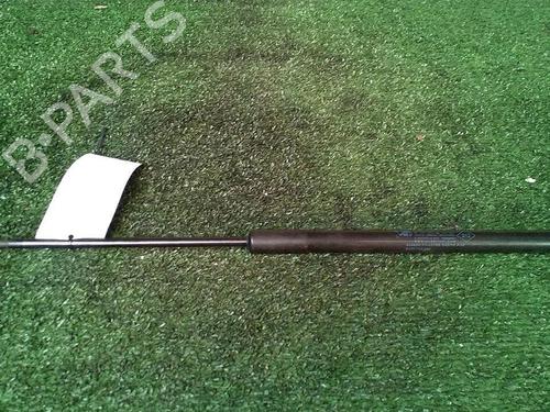 Used Tailgate lift support DACIA SANDERO 1.2 16V (75 hp) 30073794