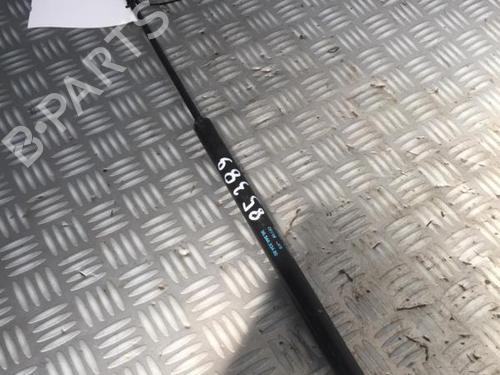 Tailgate lift support CITROËN C4 Picasso I MPV (UD_) 1.6 HDi | BP29951272C138 