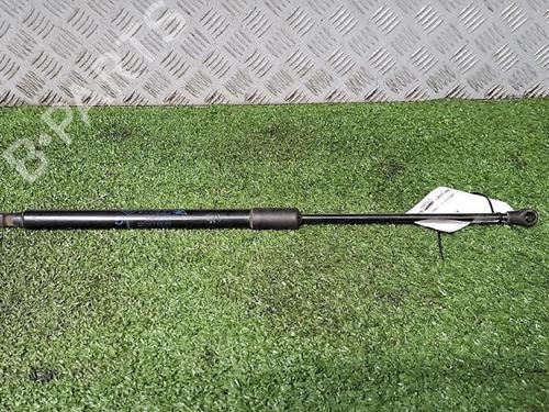 Used Tailgate lift support RENAULT SCÉNIC IV (J9_) 1.7 Blue dCi 150 (J9A7, J9A8) (150 hp) 30077013