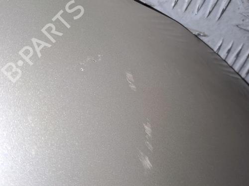Hood RENAULT SCÉNIC II (JM0/1_) 1.5 dCi (JM1E, JM16) | BP20507515C1 