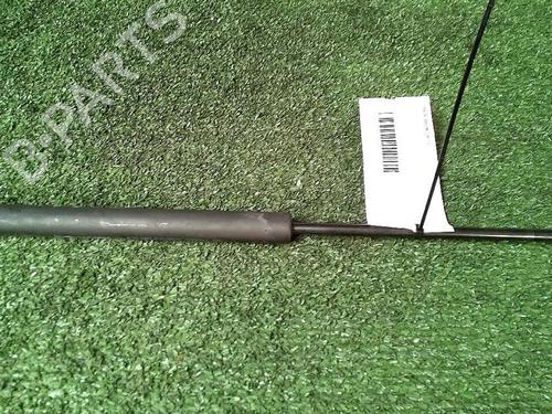 Used Tailgate lift support RENAULT CLIO II (BB_, CB_) 1.5 dCi (B/CB3M) (64 hp) 30074140