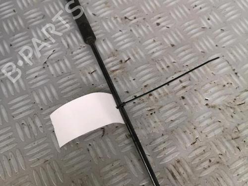 Tailgate lift support CITROËN C4 Coupe (LA_) 2.0 HDi | BP30072455C138