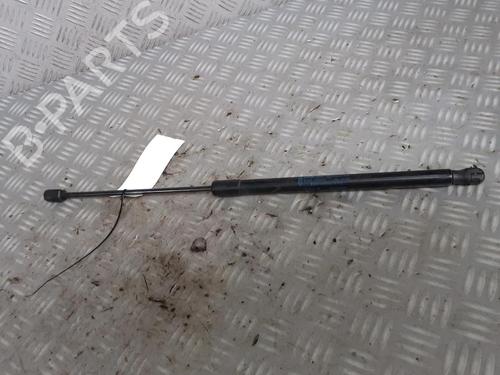 Used Tailgate lift support FORD FIESTA VI (CB1, CCN) 1.25 (60 hp) 17162813