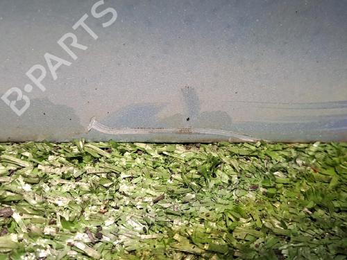 Right front door TOYOTA COROLLA Verso (ZER_, ZZE12_, R1_) 2.2 D-4D (AUR10_, AUR10R) | BP21756013C3 