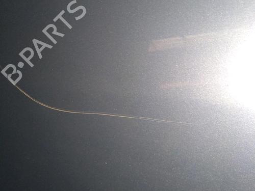 Left rear door RENAULT ESPACE IV (JK0/1_) 2.0 dCi (JK01, JK02, JK1J, JK1K, JK1H) | BP21815701C4 