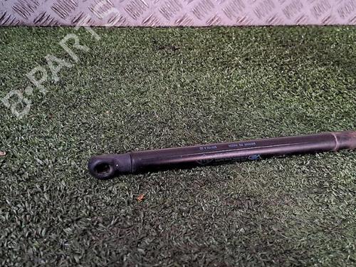 Used Tailgate lift support Tailgate lift support RENAULT MEGANE II (BM0/1_, CM0/1_) 1.9 dCi (131 hp) 29953144 29953144