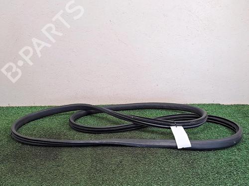 Used Rubber door seal RENAULT MEGANE III Coupe (DZ0/1_) 1.5 dCi (DZ0B) (106 hp) 30066065