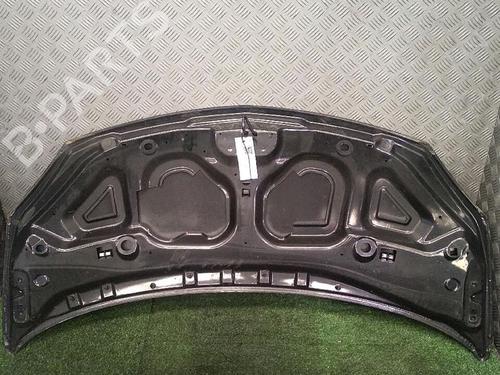 Hood RENAULT TWINGO II (CN0_) 1.2 16V (CN04, CN0B) | BP29952939C1 
