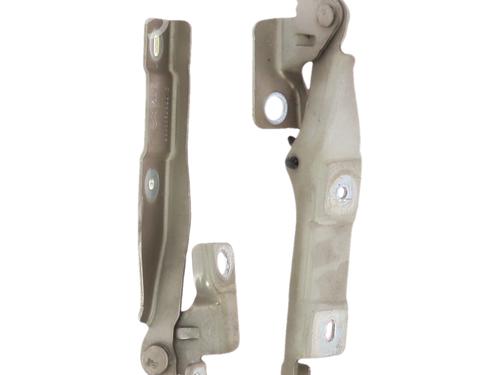 hingedoor-check-strap-citroen-c3-ii-sc_-2009-37528148 main image