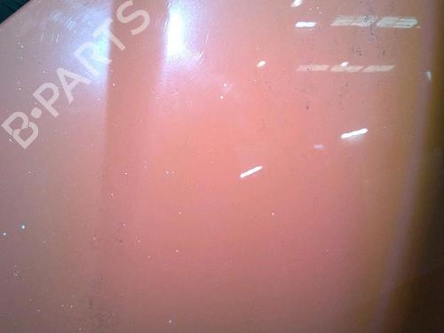 Hood FIAT PUNTO (188_) 1.2 60 (188.030, .050, .130, .150, .230, .250) | BP30064428C1