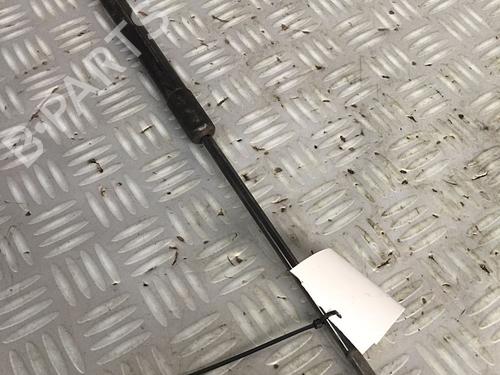 Gasdæmper bagklap CITROËN C4 II (NC_) 1.6 HDi 90 (92 hp) 30072463