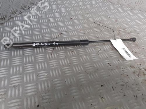 Gassdemper Bakluke RENAULT SCÉNIC III (JZ0/1_) 1.5 dCi (110 hp) 17162817
