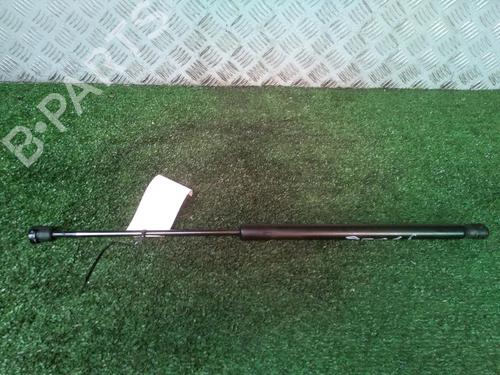Tailgate lift support FORD FIESTA VI (CB1, CCN) 1.6 TDCi | BP17161735C138 