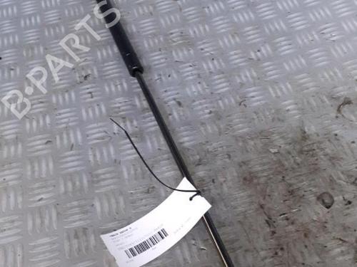 Tailgate lift support FIAT DOBLO MPV (119_, 223_) 1.3 JTD 16V | BP30072619C138