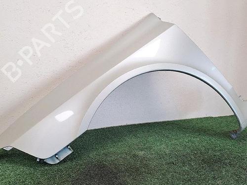 Left front fenders RENAULT LAGUNA II (BG0/1_) 1.9 dCi (BG08, BG0G) | BP30065584C41 