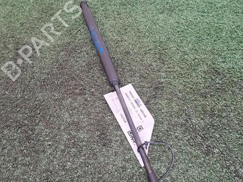 tailgate-lift-support-renault-twingo-ii-cn0_-2007-29948401 main image