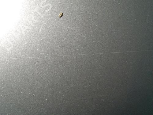 Używane Drzwi przednie prawe VW POLO (6N2) 1.4 (60 hp) 30074106