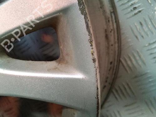 Fælk RENAULT LAGUNA II (BG0/1_) 1.9 dCi (BG08, BG0G) (120 hp) 29950043