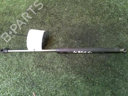 Tailgate lift support RENAULT CLIO III (BR0/1, CR0/1) 1.5 dCi (BR17, CR17) | BP30073311C138