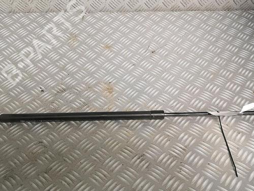 Used Tailgate lift support RENAULT GRAND SCÉNIC III (JZ0/1_) 1.5 dCi (JZ09, JZ0D, JZ10, JZ14, JZ1G, JZ29, JZ2C) (110 hp) 30072671