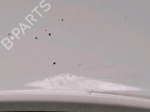 Right front fenders RENAULT MEGANE II (BM0/1_, CM0/1_) 1.5 dCi (BM02, BM13, BM2A, CM02, CM13) | BP30076874C42 