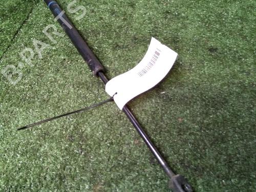 Tailgate lift support RENAULT SCÉNIC II (JM0/1_) 1.5 dCi (JM1E, JM16) | BP17157082C138 