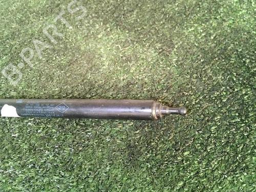 Used Hood lift support RENAULT MEGANE III Hatchback (BZ0/1_, B3_) 1.5 dCi (BZ1G, BZ1W, BZ0R) (95 hp) 30069512