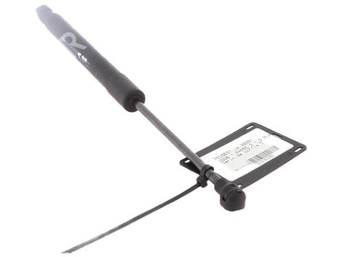 tailgate-lift-support-peugeot-2008-i-cu_-2013-30591592 main image