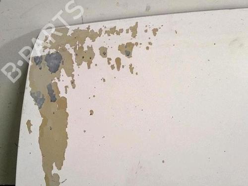 Hood CITROËN JUMPER II Van 2.2 HDi 100 | BP30072191C1 