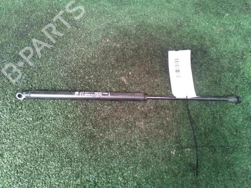 tailgate-lift-support-fiat-500-312_-2007-30073241 main image