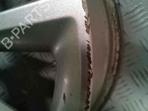 Fælk OPEL MERIVA A MPV (X03) 1.7 CDTI (E75) (100 hp) 30067240