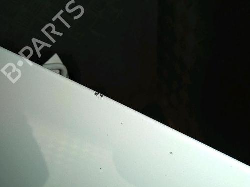 Capot RENAULT KANGOO Express (FW0/1_) 1.5 dCi 70 (FW0A, KW0V) (68 hp) 30063619