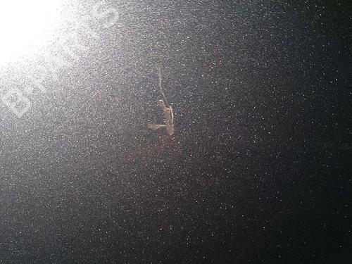 Right rear door KIA CEE'D SW (ED) 1.6 CRDi 115 | BP30074043C5 