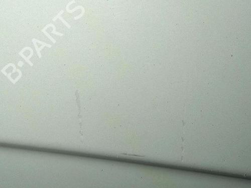 Right tailgate RENAULT KANGOO Express (FC0/1_) D 65 1.9 (FC0E, FC02, FC0J, FC0N) | BP30076623C77 