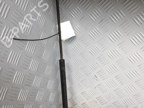 Tailgate lift support PEUGEOT 309 II (3C, 3A) 1.9 Diesel | BP30068966C138